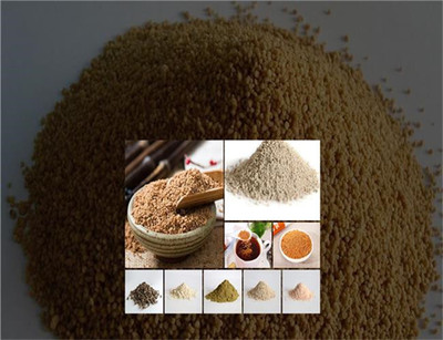 減肥代餐粉OEM代加工：名實生物的專業解決方案